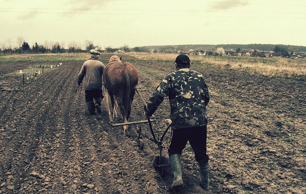 Does farming affect the environment