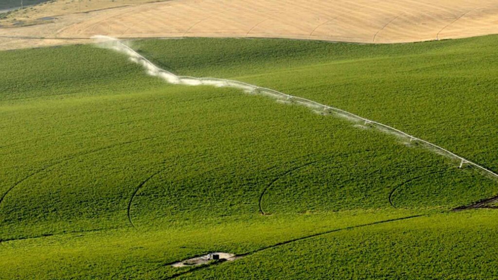 Center Pivot Irrigation – Agriculture Dictionary