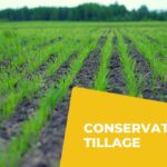 Conservation Tillage – Agriculture Dictionary