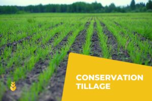 Conservation Tillage – Agriculture Dictionary