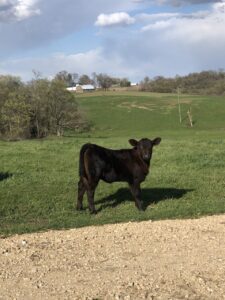 Winter Soil Compaction | Curiousfarmer