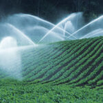 Irrigation Systems – Agriculture Dictionary