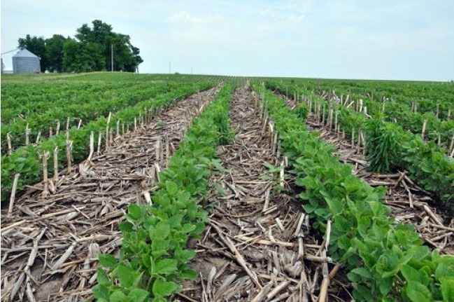 No-Till Farming – Agriculture Dictionary