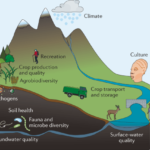 Soil Health Assessment – Agriculture Dictionary