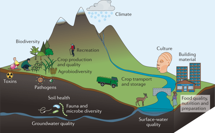 Soil Health Assessment – Agriculture Dictionary