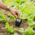 Soil pH – Agriculture Dictionary