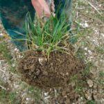 Soil Pore Space – Agriculture Dictionary