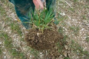 Soil Pore Space – Agriculture Dictionary