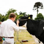 Greenhill Farm: The Castlewellan Show 2024