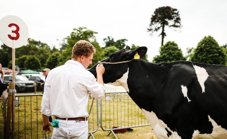 Greenhill Farm: The Castlewellan Show 2024