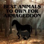 Best Animals For Armageddon – Falcone Family Farms Blog