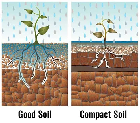 Soil Compaction – Agriculture Dictionary