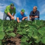 Agronomy – Agriculture Dictionary