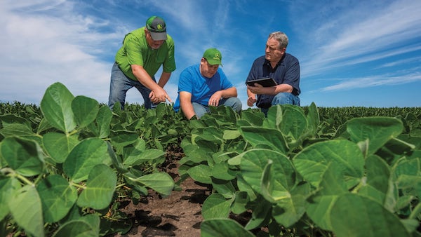 Agronomy – Agriculture Dictionary