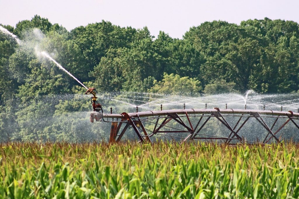 Not All Farmers Irrigate. Here’s Why.