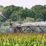 Not All Farmers Irrigate. Here’s Why.