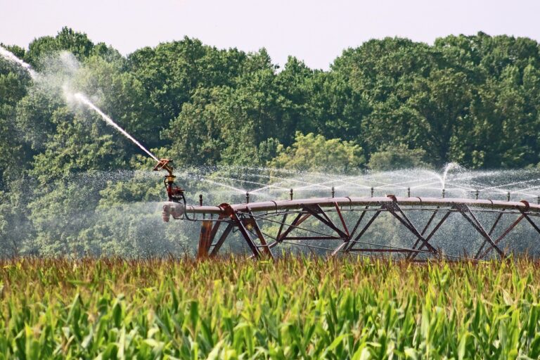 Not All Farmers Irrigate. Here’s Why.