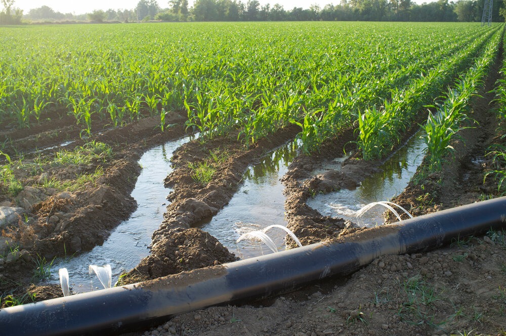 Flood Irrigation – Agriculture Dictionary