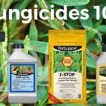 Fungicides – Agriculture Dictionary