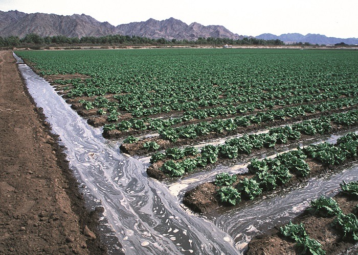 Furrow Irrigation – Agriculture Dictionary