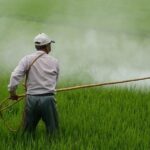 Herbicide – Agriculture Dictionary