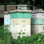 Hive – Agriculture Dictionary