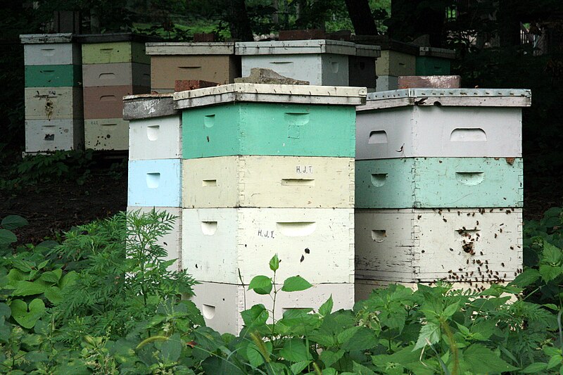 Hive – Agriculture Dictionary