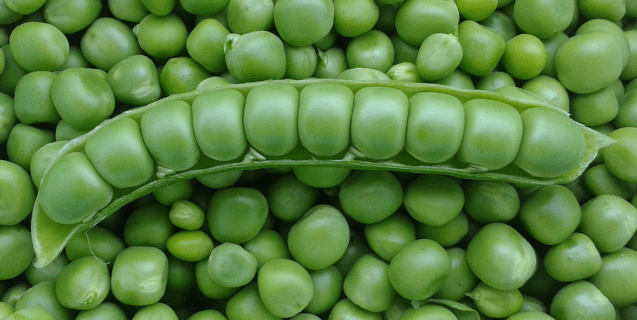 Legumes – Agriculture Dictionary