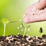 Nutrient Management – Agriculture Dictionary