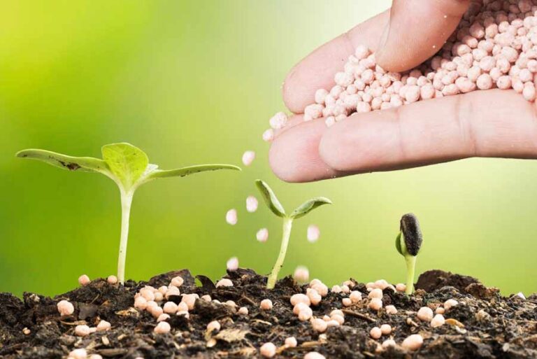 Nutrient Management – Agriculture Dictionary