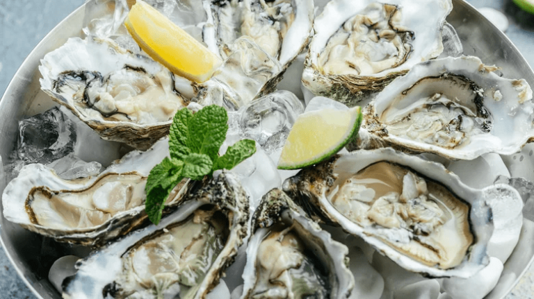 Oyster – Agriculture Dictionary