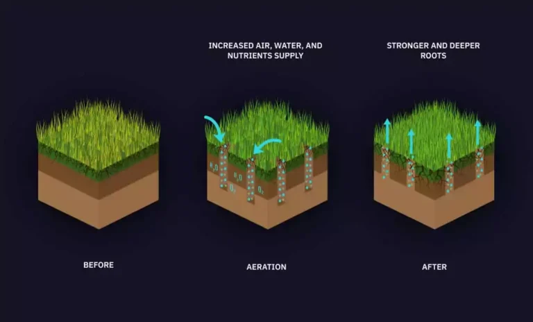 Soil Aeration – Agriculture Dictionary