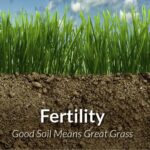 Soil Deposition – Agriculture Dictionary