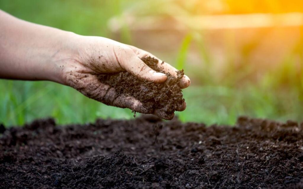 Soil Health – Agriculture Dictionary