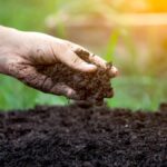 Soil Health – Agriculture Dictionary