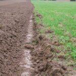 Soil Humus – Agriculture Dictionary