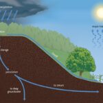 Soil Infiltration – Agriculture Dictionary