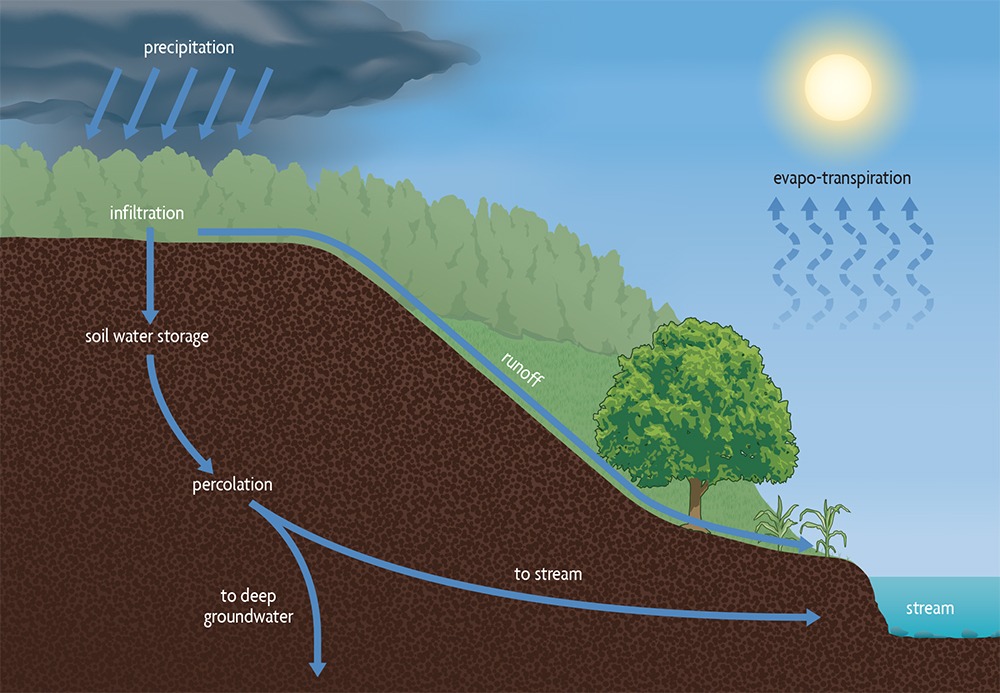 Soil Infiltration – Agriculture Dictionary