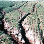 Soil Loss – Agriculture Dictionary