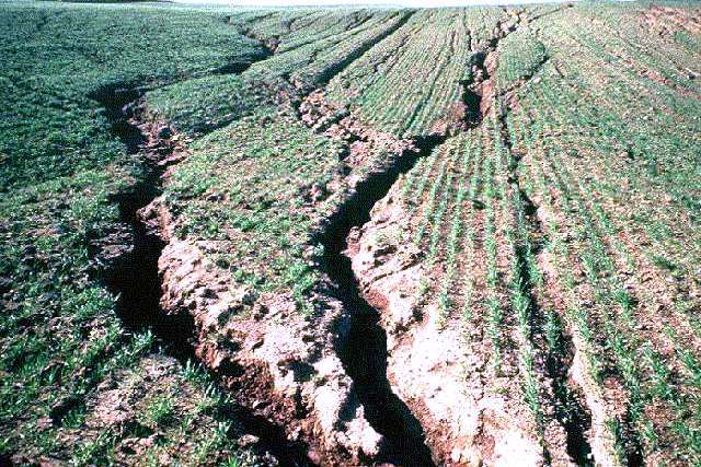 Soil Loss – Agriculture Dictionary