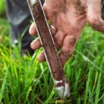 Soil Testing – Agriculture Dictionary