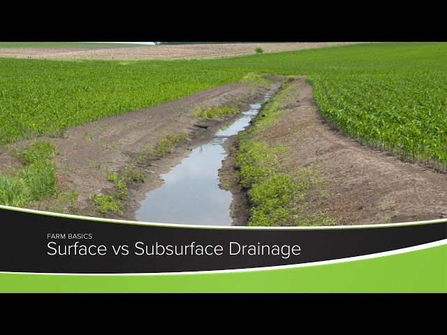 Surface Drainage – Agriculture Dictionary