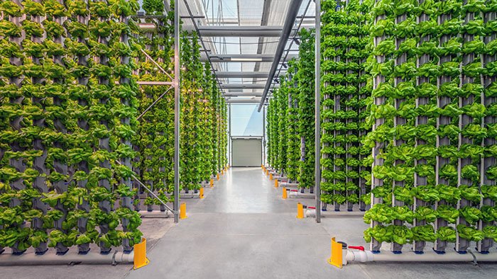 Vertical Farming – Agriculture Dictionary