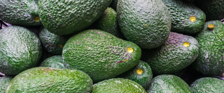 Hass Avocados: The Most Popular Variety in America