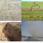 Soil Erosion Assessment – Agriculture Dictionary