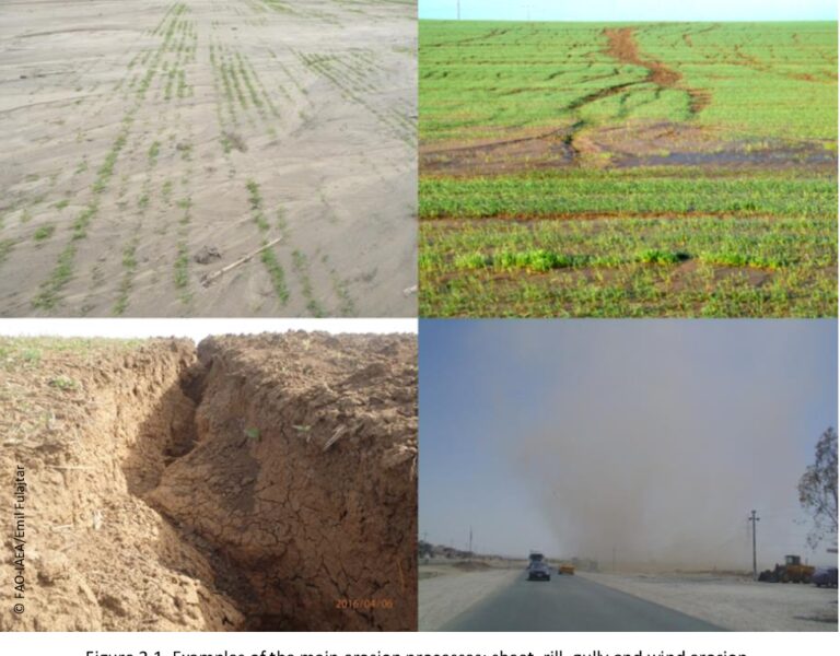 Soil Erosion Assessment – Agriculture Dictionary