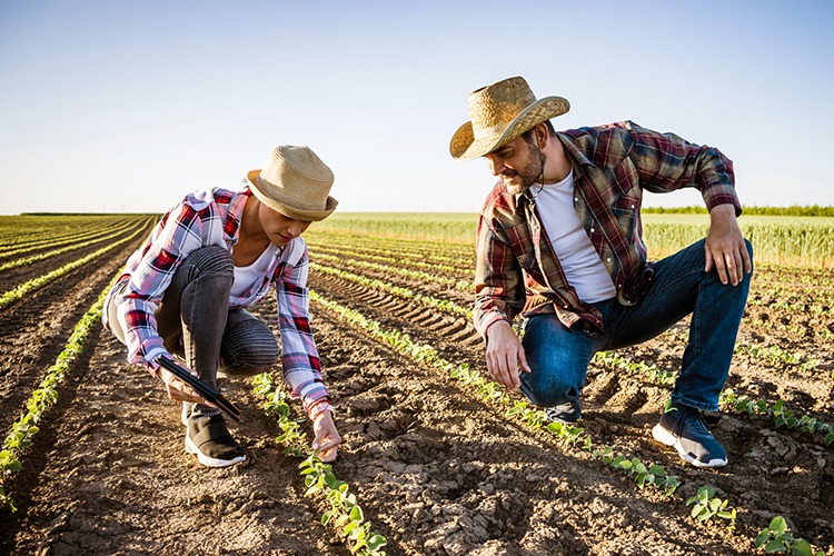 Farmer – Agriculture Dictionary