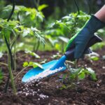 Fertilizer Types – Agriculture Dictionary