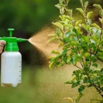 Insecticide – Agriculture Dictionary