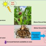 Soil Alkalinity – Agriculture Dictionary